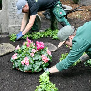 Grabpflege_4